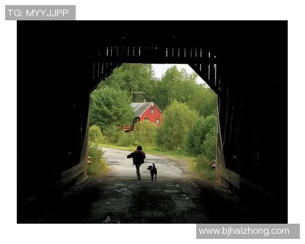 足球明星背影照片展现独特魅力与霸气气场的完美瞬间